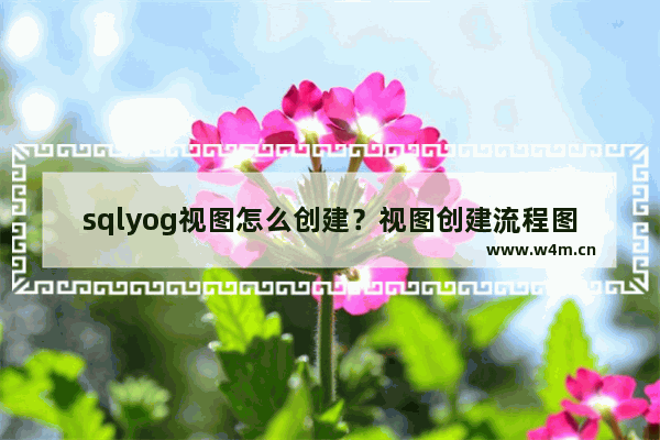 sqlyog视图怎么创建？视图创建流程图文分享