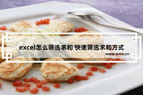 excel怎么筛选求和 快速筛选求和方式一览