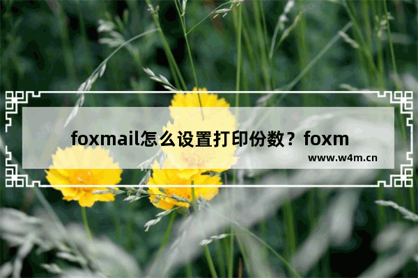 foxmail怎么设置打印份数？foxmail设置打印份数方法解析