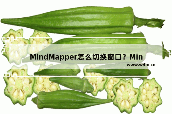 MindMapper怎么切换窗口？MindMapper切换窗口方法分享