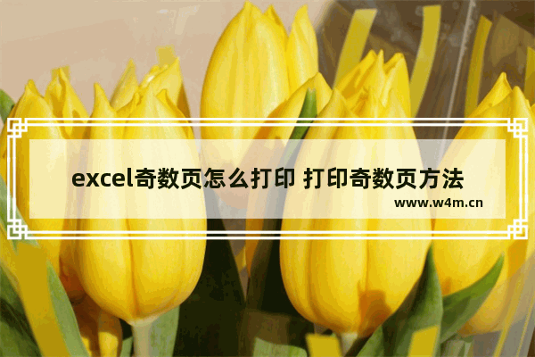 excel奇数页怎么打印 打印奇数页方法详解