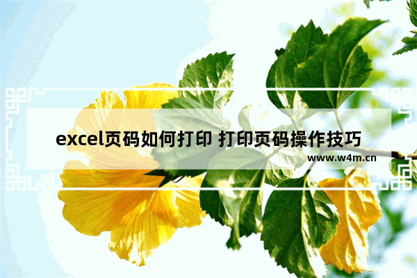 excel页码如何打印 打印页码操作技巧分享