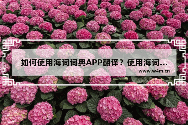 如何使用海词词典APP翻译？使用海词词典翻译的方法说明