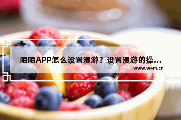 陌陌APP怎么设置漫游？设置漫游的操作步骤分享