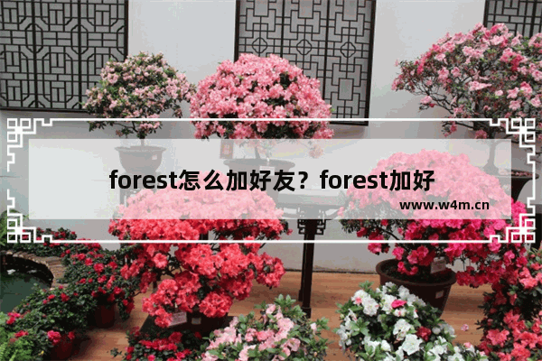 forest怎么加好友？forest加好友的方法说明