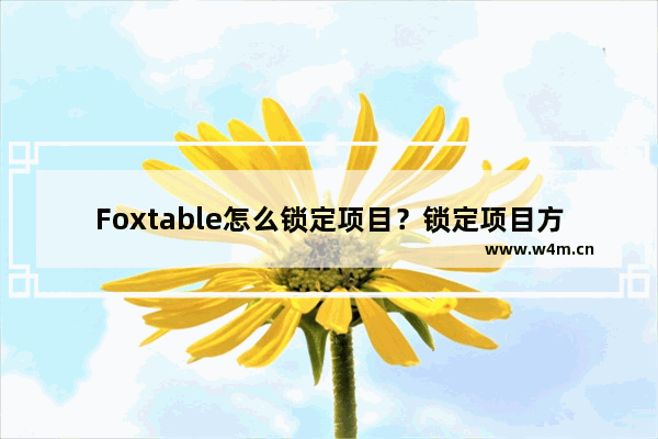 Foxtable怎么锁定项目？锁定项目方法一览