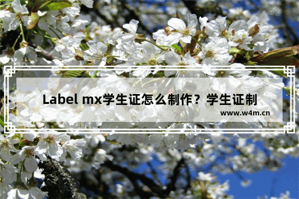 Label mx学生证怎么制作？学生证制作方法解析