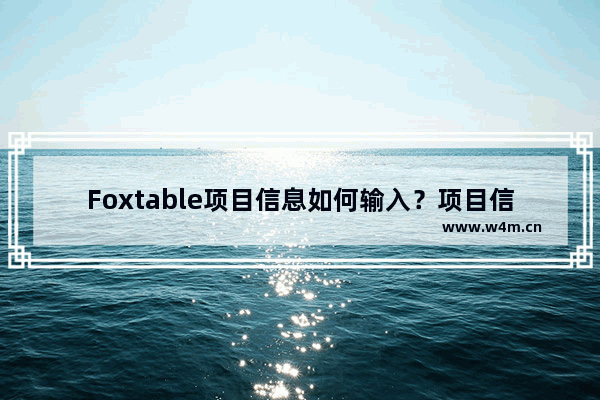 Foxtable项目信息如何输入？项目信息输入方法分享