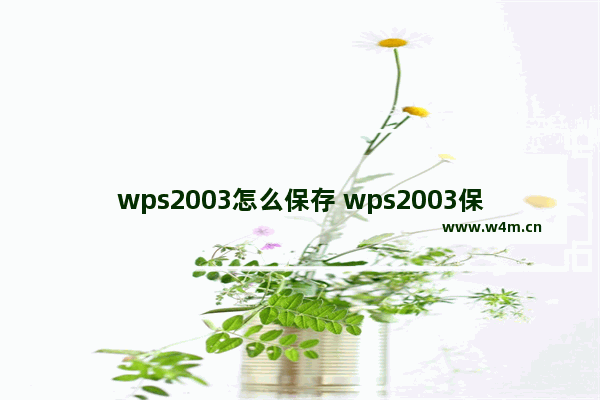 wps2003怎么保存 wps2003保存操作方法一览