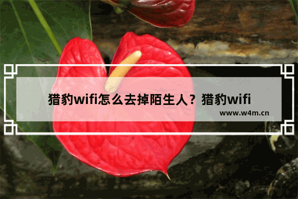 猎豹wifi怎么去掉陌生人？猎豹wifi去除陌生人步骤详解