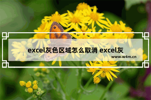 excel灰色区域怎么取消 excel灰色区域取消流程一览