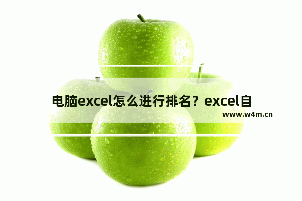 电脑excel怎么进行排名？excel自动排名教程分享