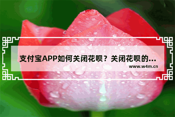 支付宝APP如何关闭花呗？关闭花呗的方法介绍