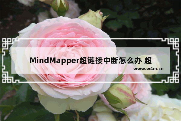 MindMapper超链接中断怎么办 超链接中断处理心得分享