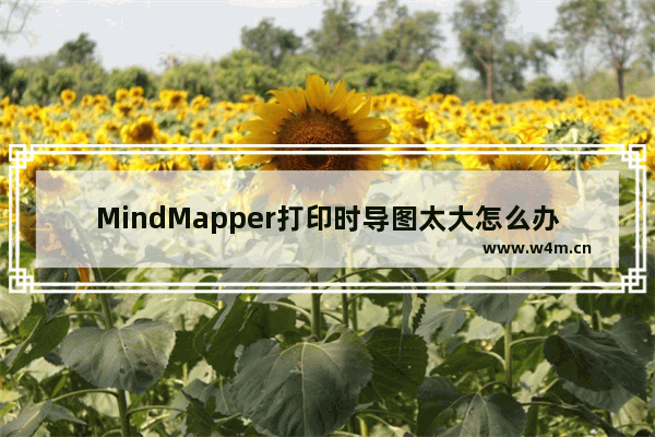 MindMapper打印时导图太大怎么办 打印时导图太大处理方式一览