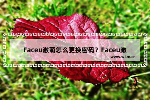 Faceu激萌怎么更换密码？Faceu激萌更换密码的方法介绍