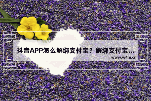 抖音APP怎么解绑支付宝？解绑支付宝的操作步骤分享