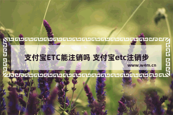 支付宝ETC能注销吗 支付宝etc注销步骤分享