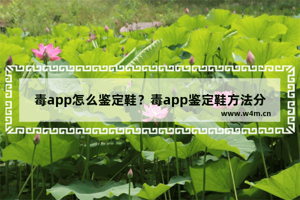 毒app怎么鉴定鞋？毒app鉴定鞋方法分享