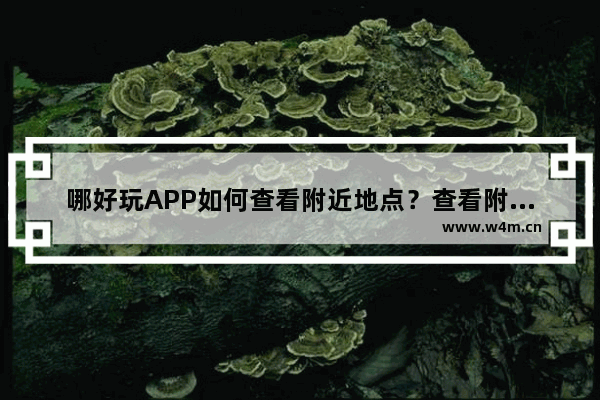 哪好玩APP如何查看附近地点？查看附近地点的操作方法介绍