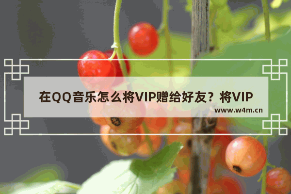 在QQ音乐怎么将VIP赠给好友？将VIP赠给好友的方法介绍