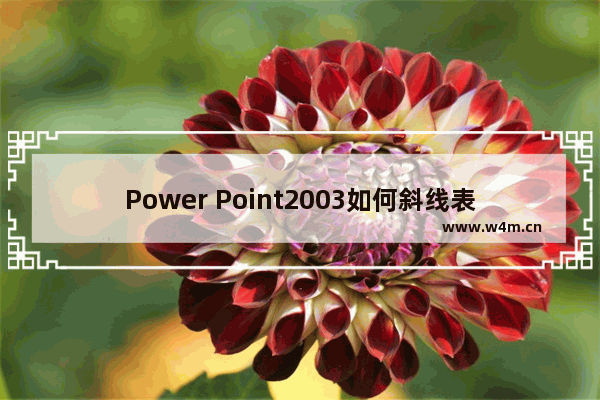 Power Point2003如何斜线表头 斜线表头流程说明