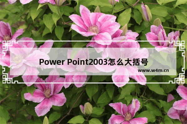 Power Point2003怎么大括号 Power Point2003大括号步骤介绍