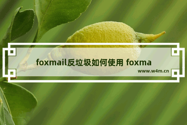 foxmail反垃圾如何使用 foxmail反垃圾使用流程说明