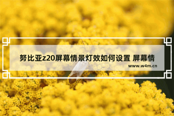 努比亚z20屏幕情景灯效如何设置 屏幕情景灯效设置方法介绍