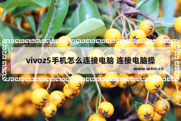 vivoz5手机怎么连接电脑 连接电脑操作方法介绍