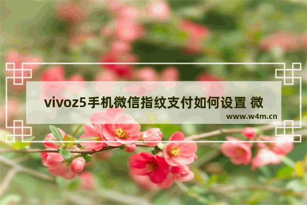 vivoz5手机微信指纹支付如何设置 微信指纹支付设置方法分享