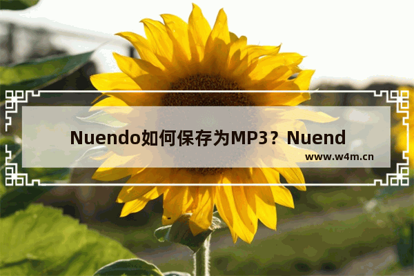 Nuendo如何保存为MP3？Nuendo导出MP3格式方法一览