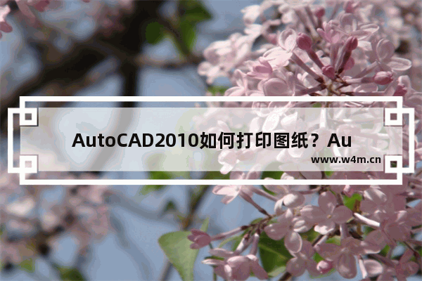 AutoCAD2010如何打印图纸？AutoCAD2010打印图纸方法一览