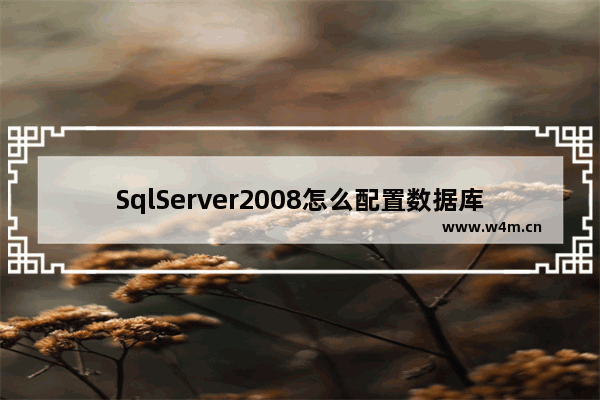 SqlServer2008怎么配置数据库邮件 SqlServer2008配置数据库邮件方法解析