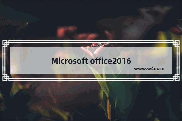 Microsoft office2016怎么进行更新 Microsoft office2016进行更新方法介绍