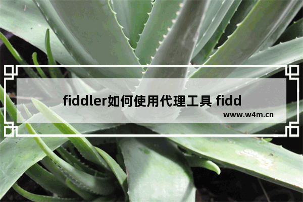 fiddler如何使用代理工具 fiddler使用代理工具步骤一览