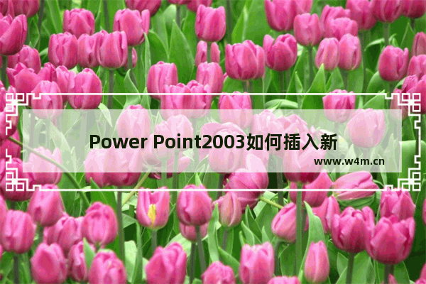 Power Point2003如何插入新幻灯片 Power Point2003插入新幻灯片方法解析