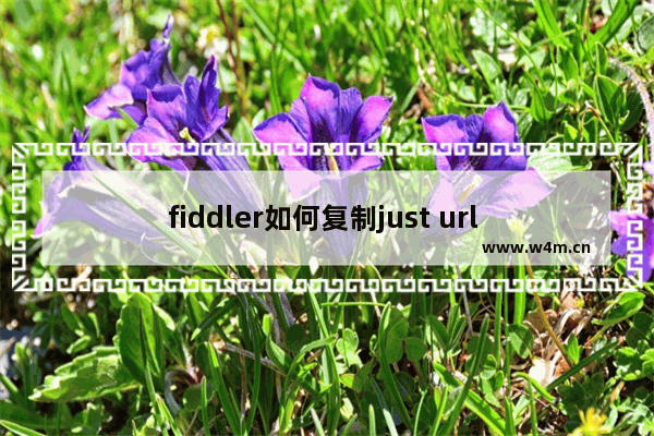 fiddler如何复制just url fiddler复制just url方法一览