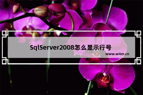 SqlServer2008怎么显示行号 SqlServer2008显示行号步骤分享