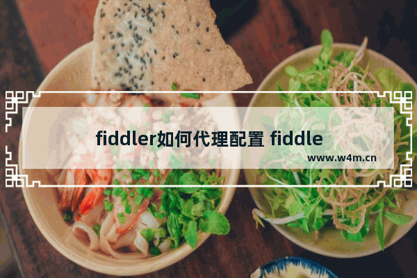 fiddler如何代理配置 fiddler代理配置流程介绍