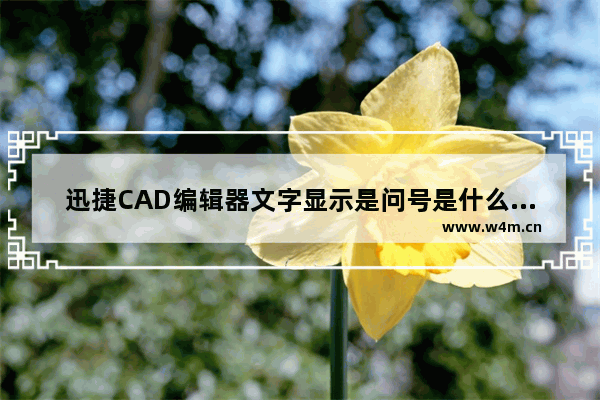 迅捷CAD编辑器文字显示是问号是什么原因 样式设置方法介绍