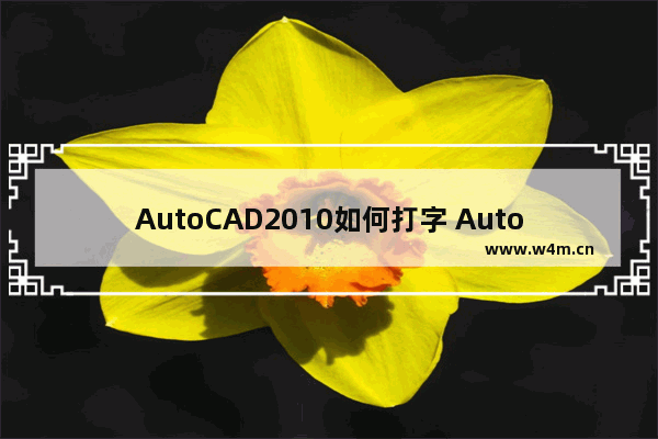 AutoCAD2010如何打字 AutoCAD2010打字方法说明