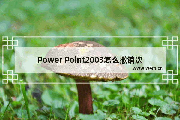 Power Point2003怎么撤销次数？Power Point2003撤销次数步骤详解