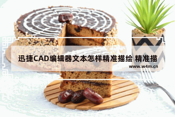 迅捷CAD编辑器文本怎样精准描绘 精准描绘的步骤说明