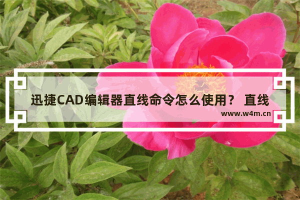 迅捷CAD编辑器直线命令怎么使用？ 直线命令使用技巧分享