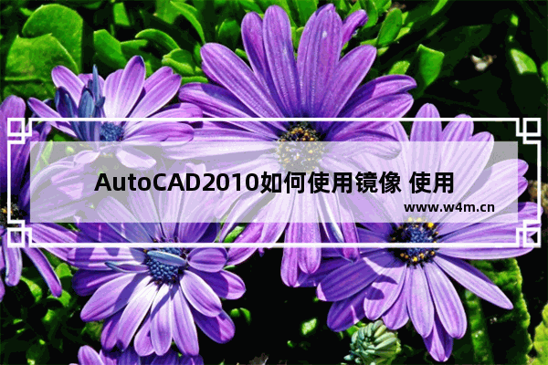 AutoCAD2010如何使用镜像 使用镜像方法说明