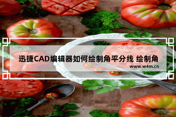 迅捷CAD编辑器如何绘制角平分线 绘制角平分线技巧分享