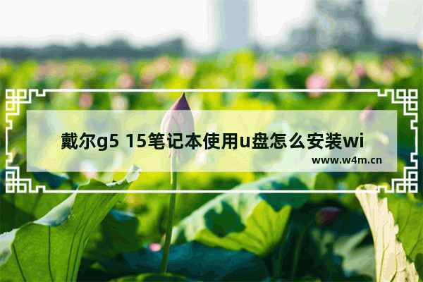 戴尔g5 15笔记本使用u盘怎么安装win8系统？安装win8系统的步骤分享