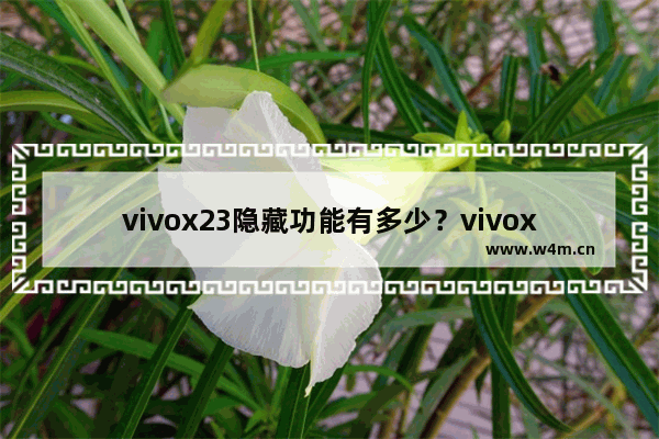 vivox23隐藏功能有多少？vivox23隐藏功能介绍