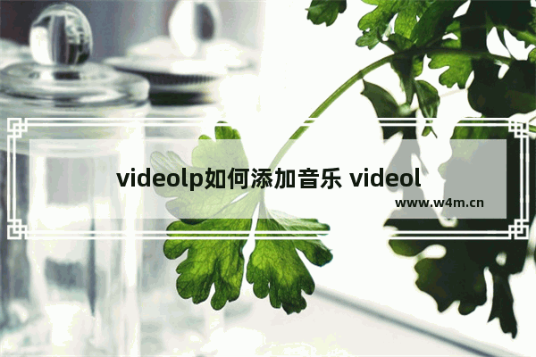 videolp如何添加音乐 videoleap添加背景音乐方法介绍